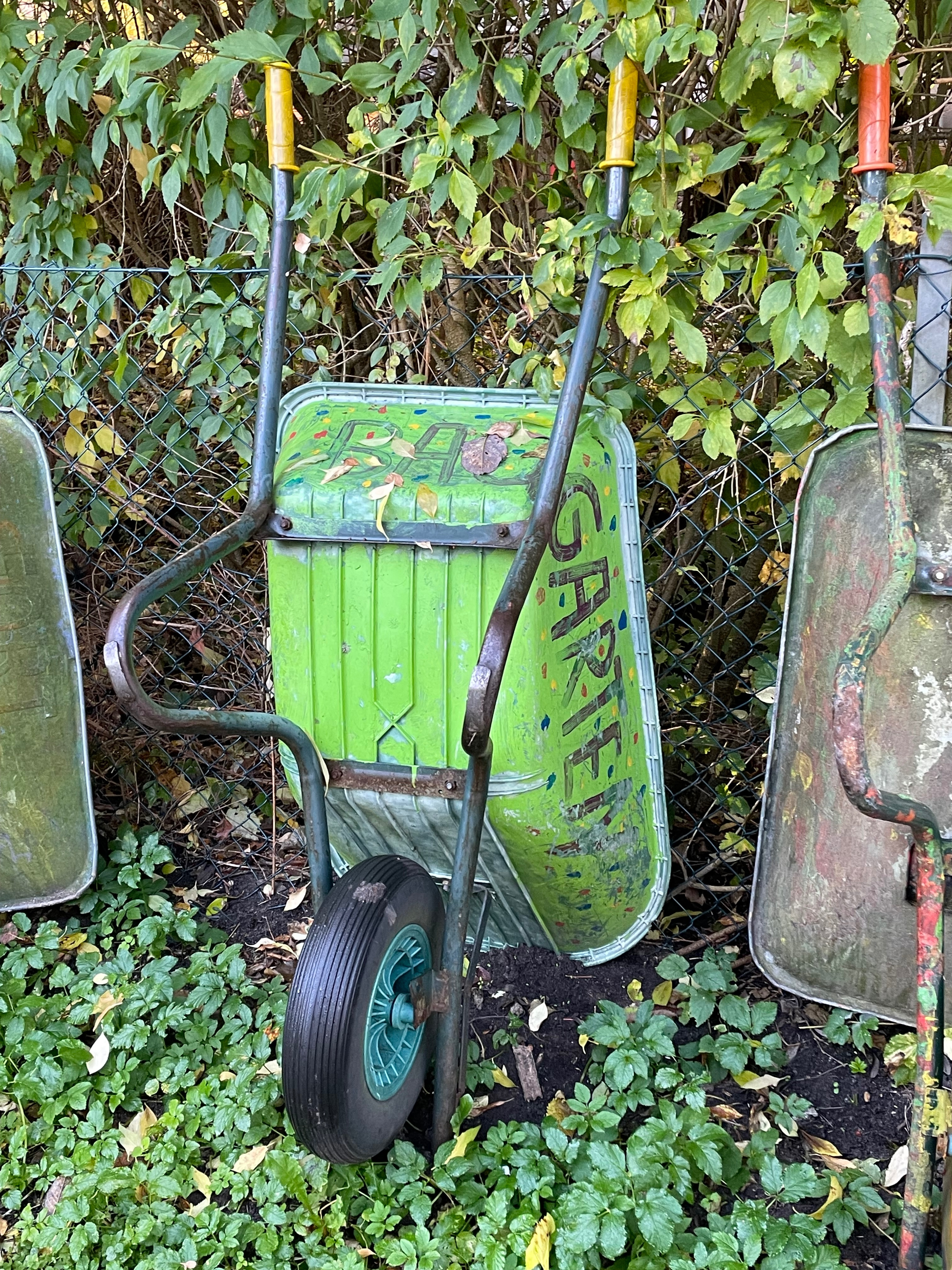 FÖJ an unserer Schule im Schulgarten